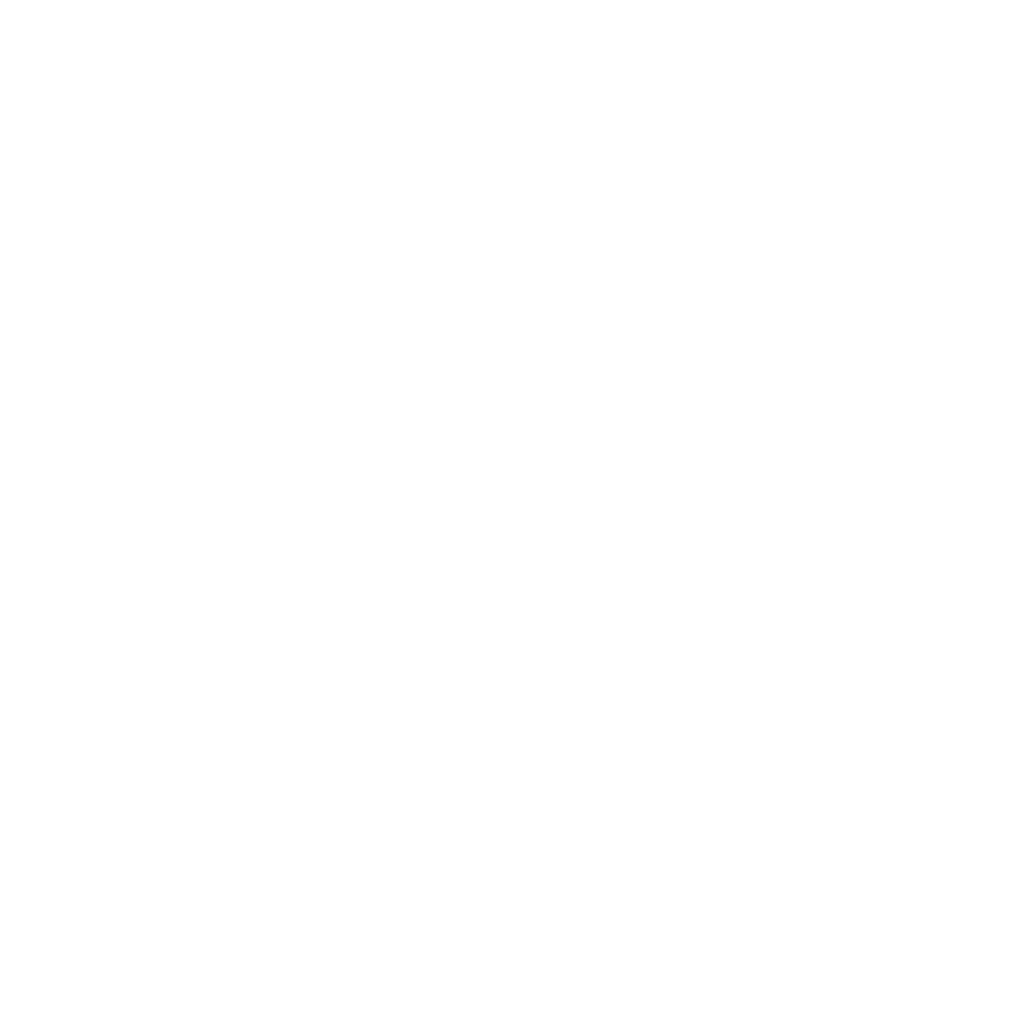 Managed Service Provider - Proven Professional - Consultant